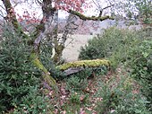 Dolmen de Champs Cayroux