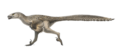 דרומאוזאורוס