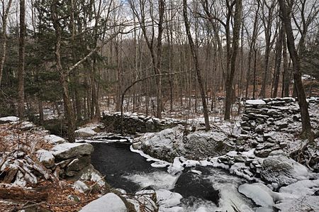 DublinNH TwitchellMillSite