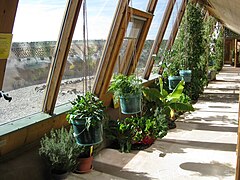 Earthship wewnątrz szklarni.JPG