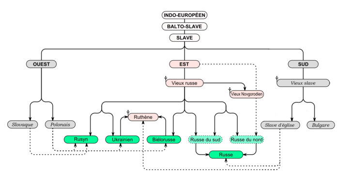 Oost-Slavische talenboom fr.png