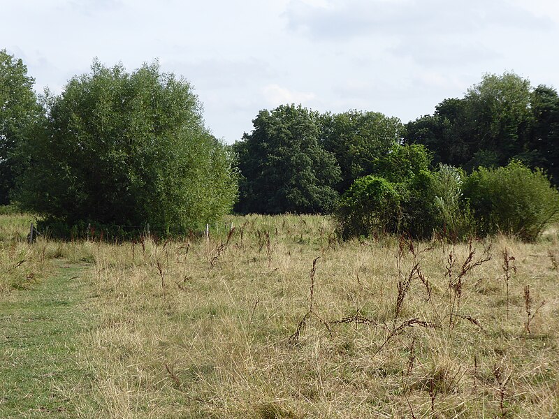 File:Eaton Common 2.jpg