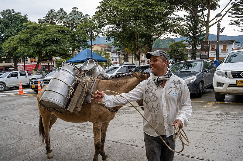 File:El de la leche.jpg