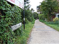 Butterfly Lane