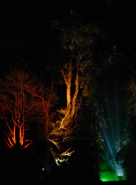 File:Enchanted Christmas - geograph.org.uk - 1094896.jpg