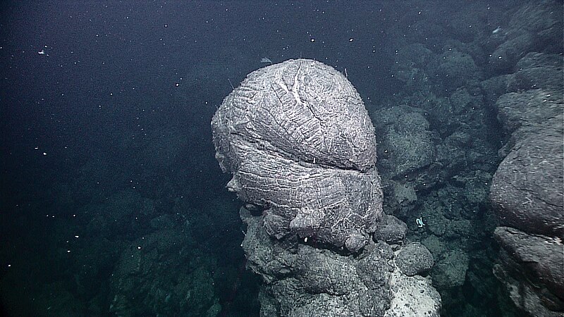 File:Expl6454 - pillow lava in Galapagos Rift.jpg