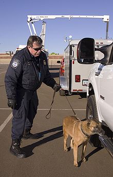 An U.S. Customs and Border Protection officer with an explosive-detection dog Explosive detection dog, CBP.jpg