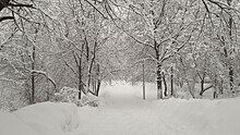 February Snowfall in Moscow (2018-01-04) 18.jpg