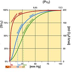 Effects of CO poisoning on hemoglobin-oxygen dissociation curve. In