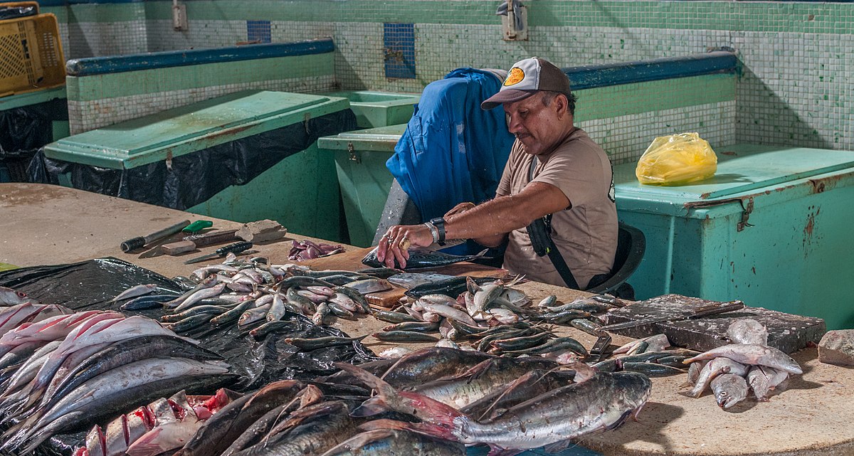 File:Fishmonger fish cleaning 9.jpg - Wikipedia