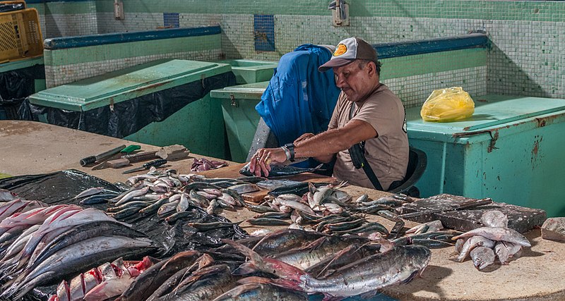 File:Fishmonger fish cleaning 9.jpg