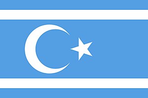 Flag of Turkmeneli official.jpg