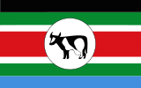 联合民主阵线（南苏丹）（英语：United_Democratic_Front_(South_Sudan)）的旗帜