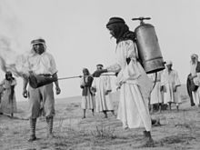 A portable flamethrower being prepared to destroy locusts in Palestine, 1915 Flaming Locusts in 1915.jpg