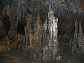 Vignette pour Parc d'État des Florida Caverns