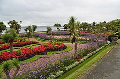 Květiny v Abbey Gardens (7105) .jpg