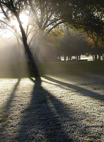 File:Fog in Albuquerque, New Mexico, November 2005 (2).jpg