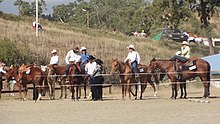 Caldoches, European people born in New Caledonia Foire chevaux.JPG