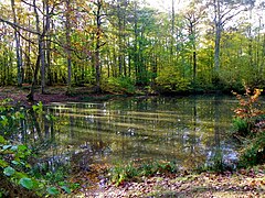 La Mare aux Corbeaux.