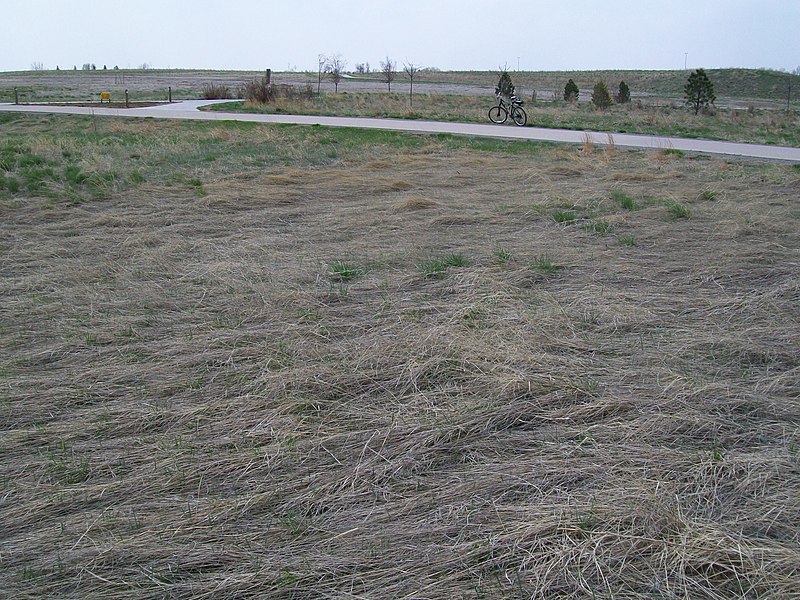 File:Fork in Bikepath - panoramio.jpg