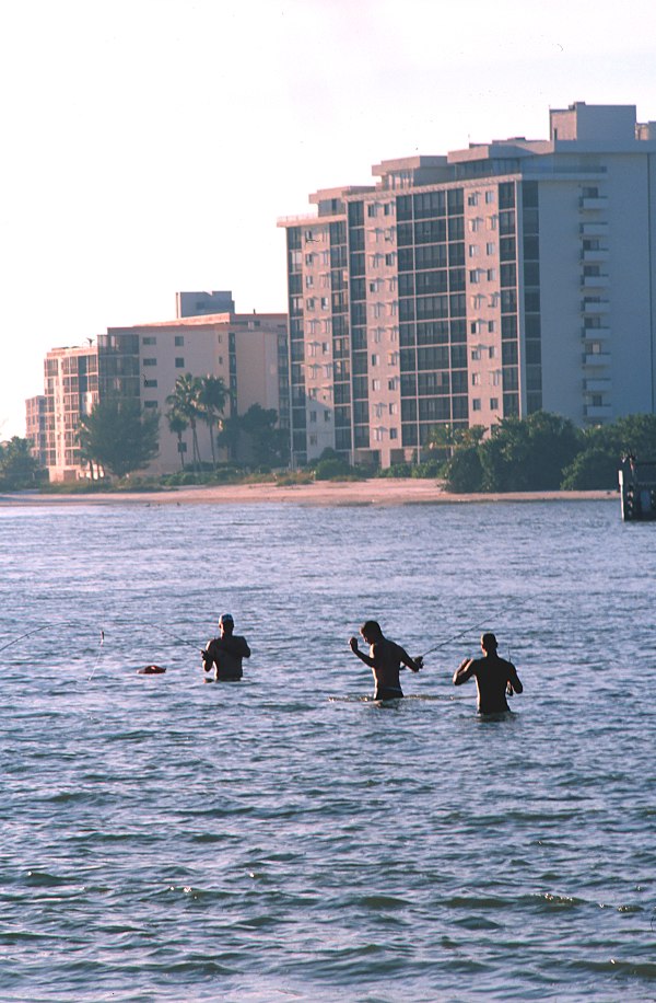 Fishermen wading in Fort Myers Beach.