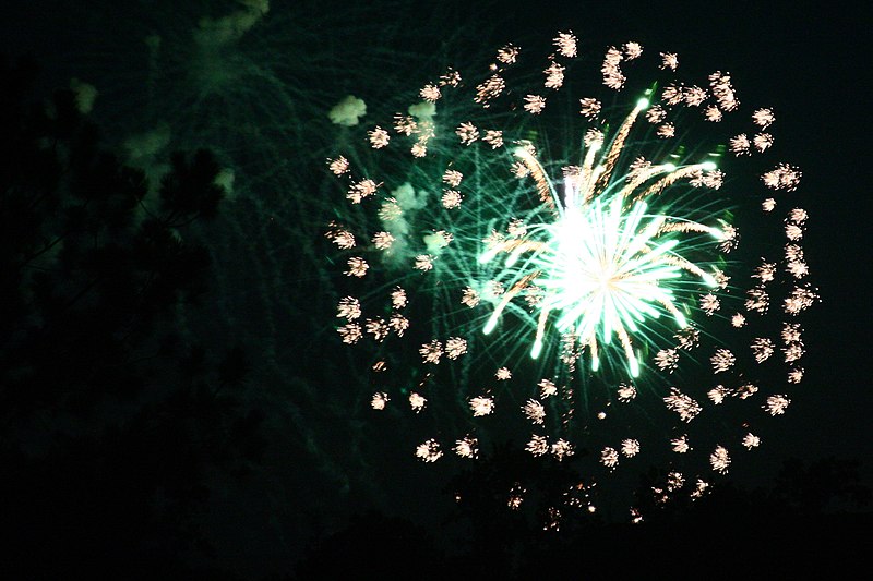 File:Fourth of July Fireworks (3691480791) (2).jpg