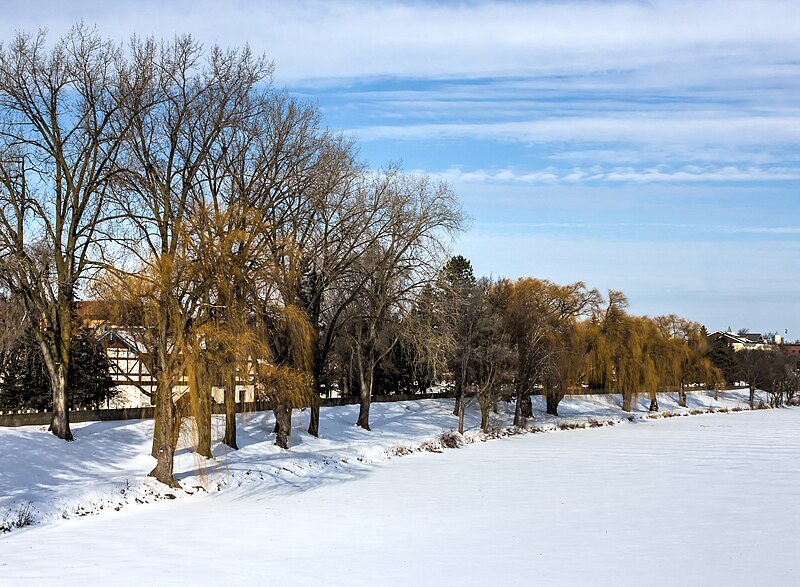 File:Frozen riverbank, Frankenmuth, Michigan, 2015-01-11 01.jpg