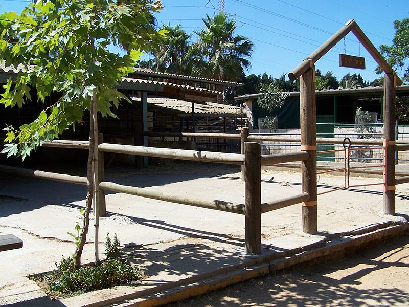 File:Ghi, pettingzoo (sheep compound, now with pony sign).jpg