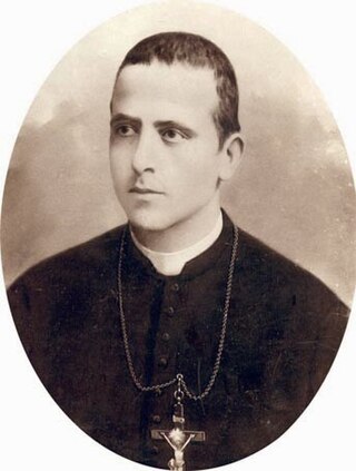 <span class="mw-page-title-main">Giuseppe Marchetti (priest)</span> Brazilian Priest Venerable