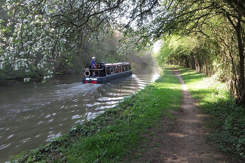 File:Grand Union Canal near Muscott - geograph.org.uk - 6129227.jpg