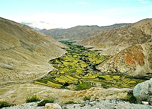 A view of agriculture around Leh.