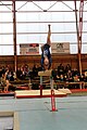 Championnats individuels de gymnastique artistique FFG du Finistère au gymnase de Provence les 18 et 19 janvier 2014.