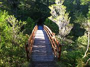 view of a bridge for people walking or cycling