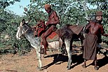 Male Himba herders