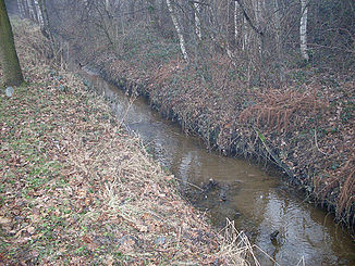 The Holtebach in Hövelhof