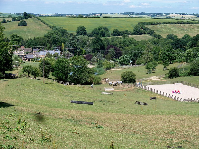 File:Horse training area and horses - geograph.org.uk - 1975418.jpg