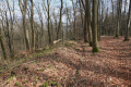 English: Bronze Age Ringwall in Nature Reserve Stallberg, Hünfeld, Hesse, Germany This is a picture of the protected area listed at WDPA under the ID 555560676