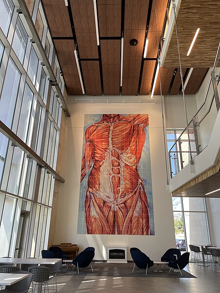 File:ICOM Atrium & Mural.jpg