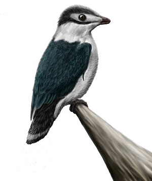 Iberomesornis romerali by durbed.jpg