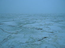 Ice on the Gulf of Odessa Ice on the Gulf of Odessa.jpg