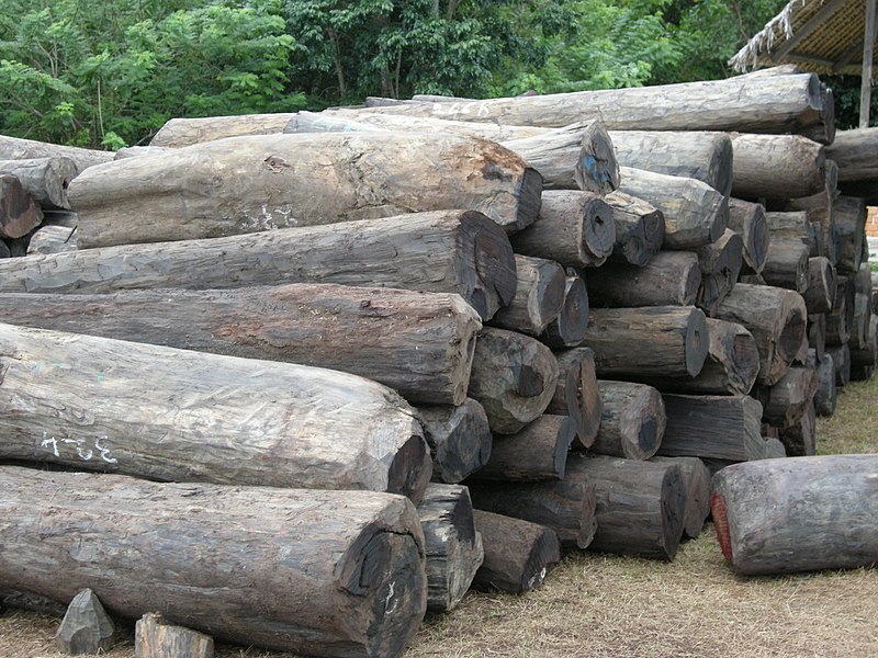 File:Illegal rosewood stockpiles 004.jpg