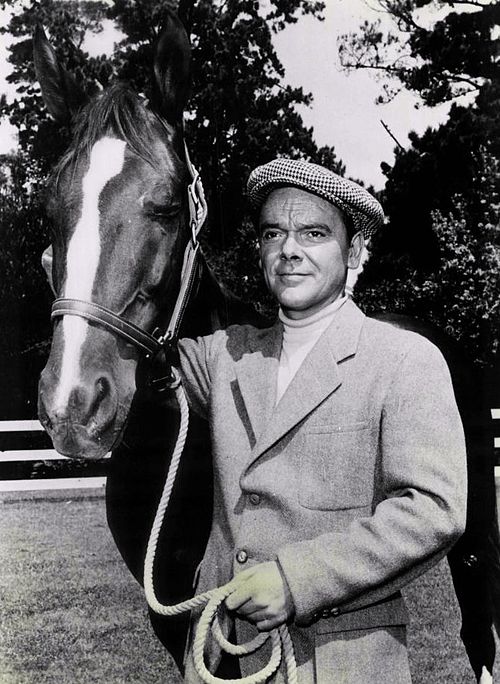 James McCallion as the ex-jockey Mi Taylor with the horse King (1960)