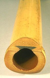 <span class="mw-page-title-main">End-blown flute</span> Woodwind musical instrument