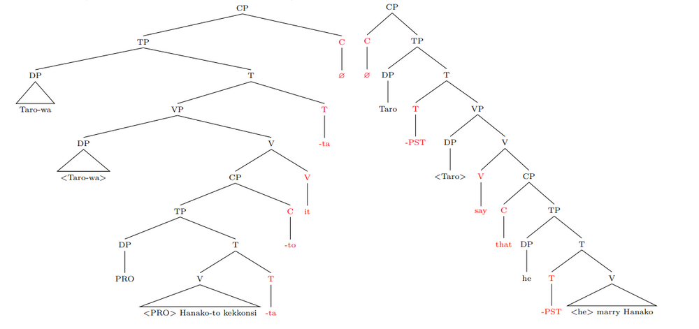 Syntax tree for Japanese vs. English phrase; syntactic heads marked in red. Note position of complementizer.