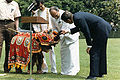 Image 39President J. R. Jayewardene gifting Jayathu, a baby elephant to US President Ronald Reagan in 1984 (from Sri Lanka)