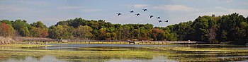 John Heinz National Wildlife Refuge at Tinicum