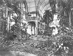 Tropisch: Flora Glaspalast um 1880