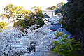 Kimii-dera, Precincts -1 (April 2012) - panoramio.jpg