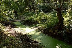 Kleine Sulze Mündung.jpg