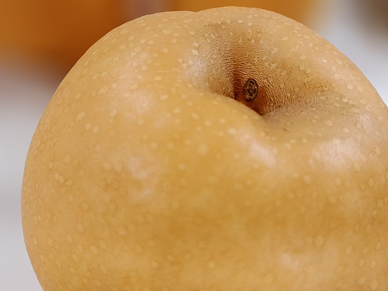 File:Korean pear 2.jpg